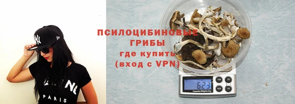 мдма Заводоуковск