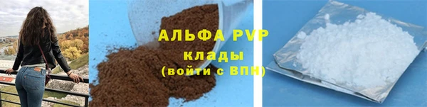 прущие грибы Заволжье