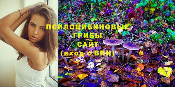 прущие грибы Заволжье