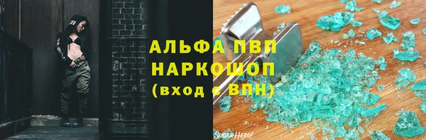 прущие грибы Заволжье
