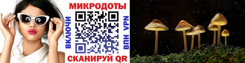 Галлюциногенные грибы Cubensis  где купить наркотик  Светлогорск 